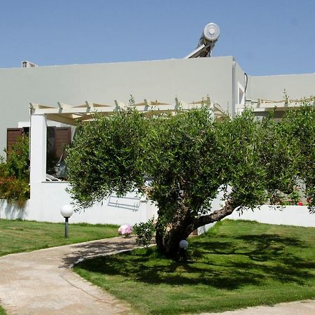 Villa Dimitris Palaikastro Exterior foto